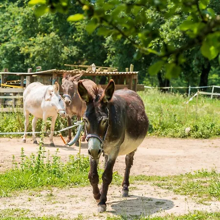 Nyaraló La Gersoise *