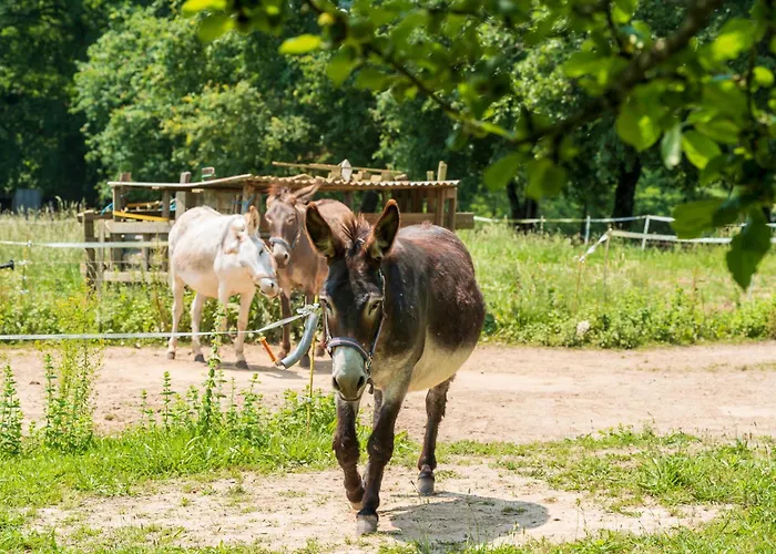 Hébergement de vacances La Gersoise *
